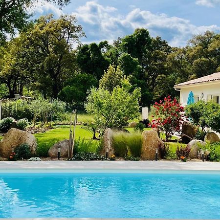 Mini Villa Pascal Paoli Avec Piscine - Proche Mer Prunelli-di-Fiumorbo Экстерьер фото