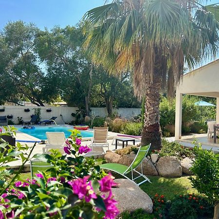 Mini Villa Pascal Paoli Avec Piscine - Proche Mer Prunelli-di-Fiumorbo Экстерьер фото