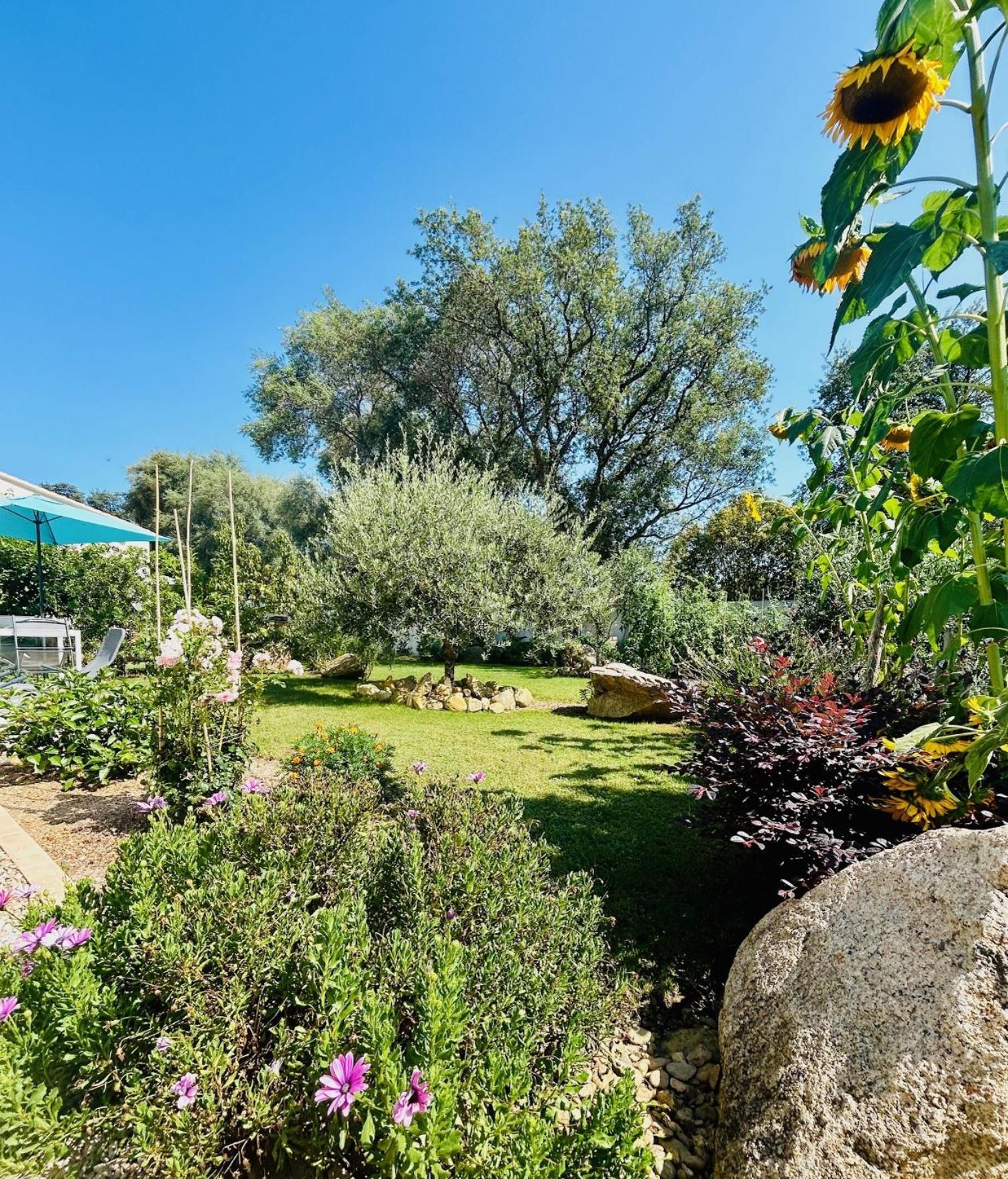 Mini Villa Pascal Paoli Avec Piscine - Proche Mer Prunelli-di-Fiumorbo Экстерьер фото